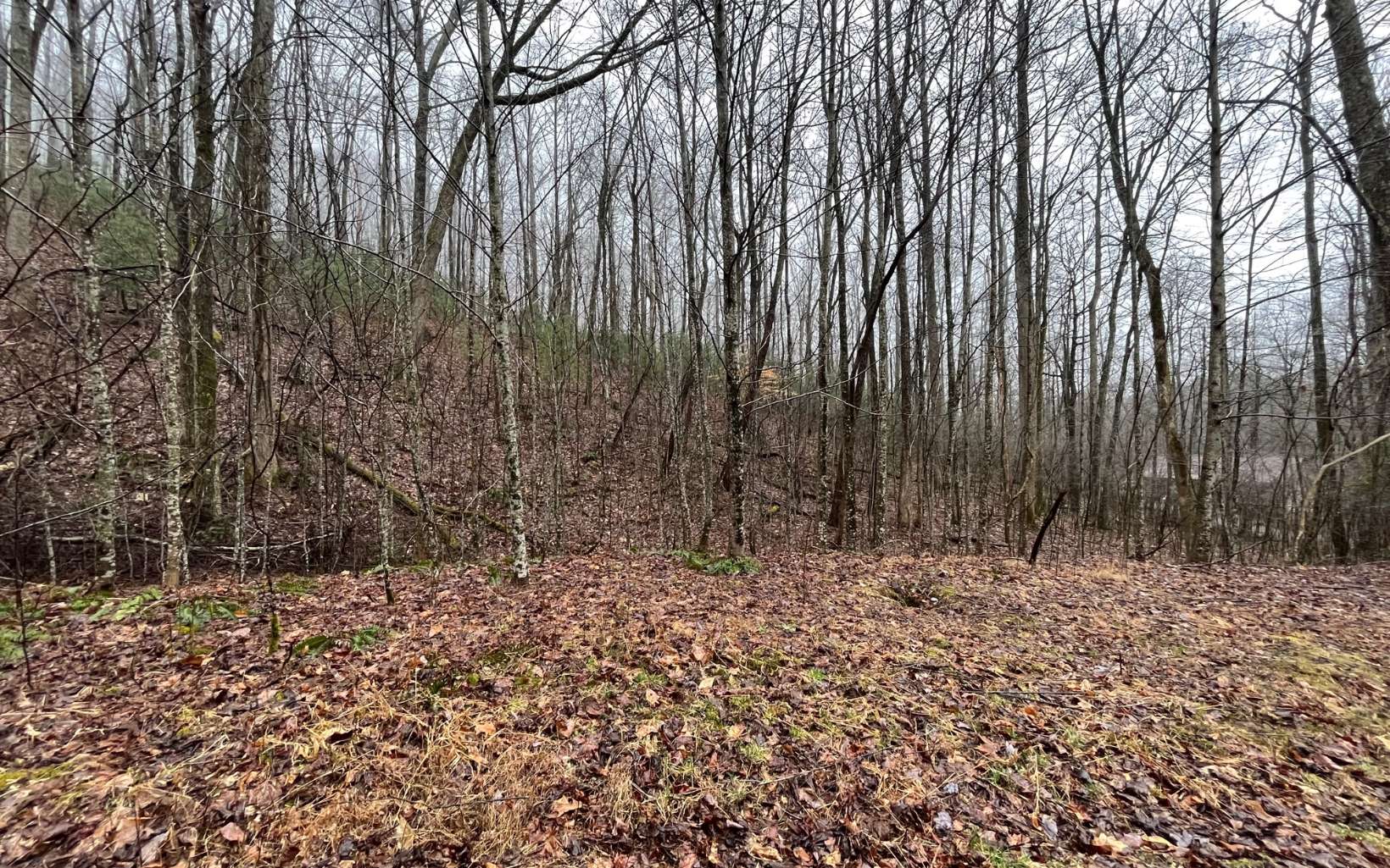 25 Goldmine Gap Road Ellijay, GA 30536 - Photo 16 of 19 Additional View