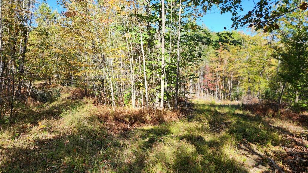 Lot 28 Adams Road Chesterville, ME 04938 - Photo 14 of 37 20251006_131051