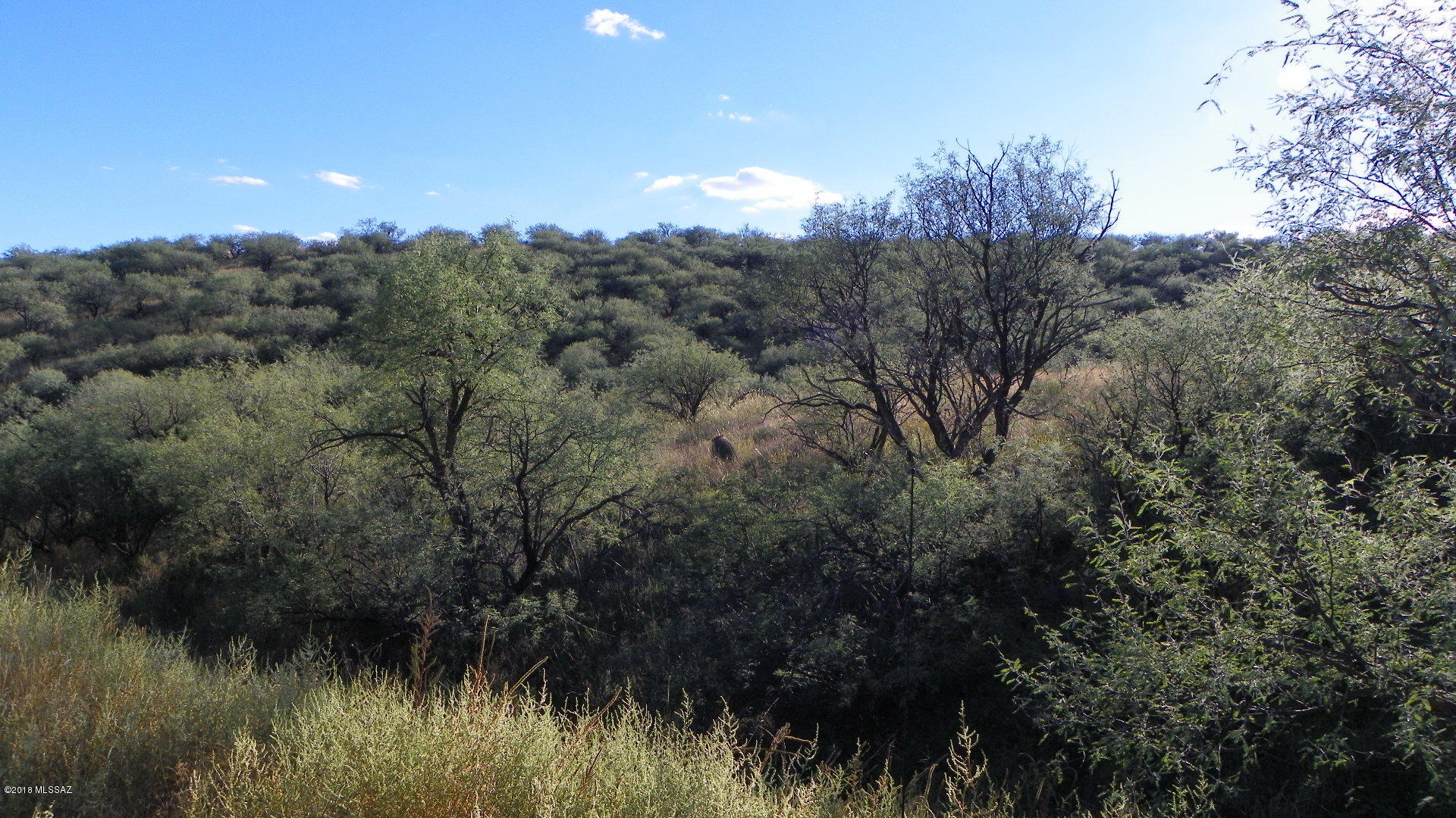 966 Corte Arboles, Unit 75 Rio Rico, AZ 85648 - Photo 3 of 6