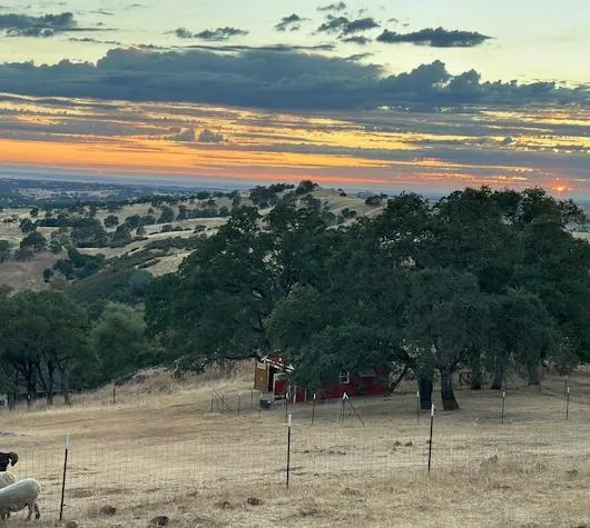a view of an ocean and a mountain