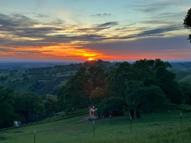 a view of yard with ocean view