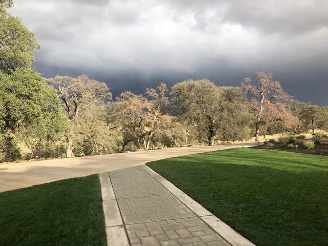 a living room with furniture a window and a potted plant