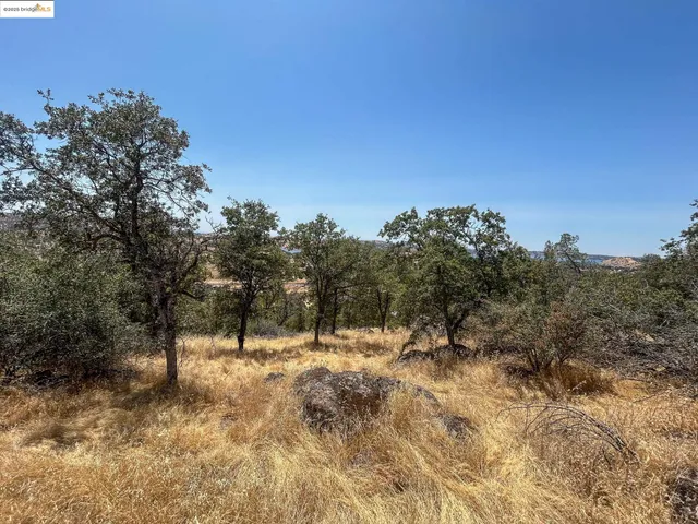 a view of outdoor space with green field and trees