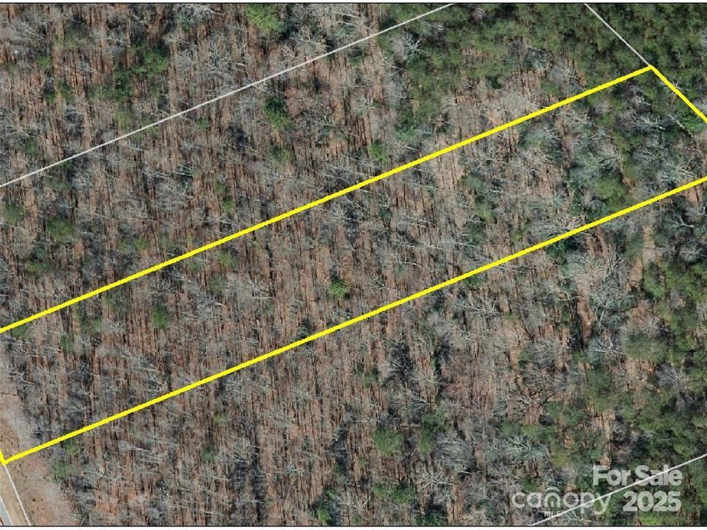 0 Boy Scout Road Rutherfordton, NC 28139 - Photo 11 of 12