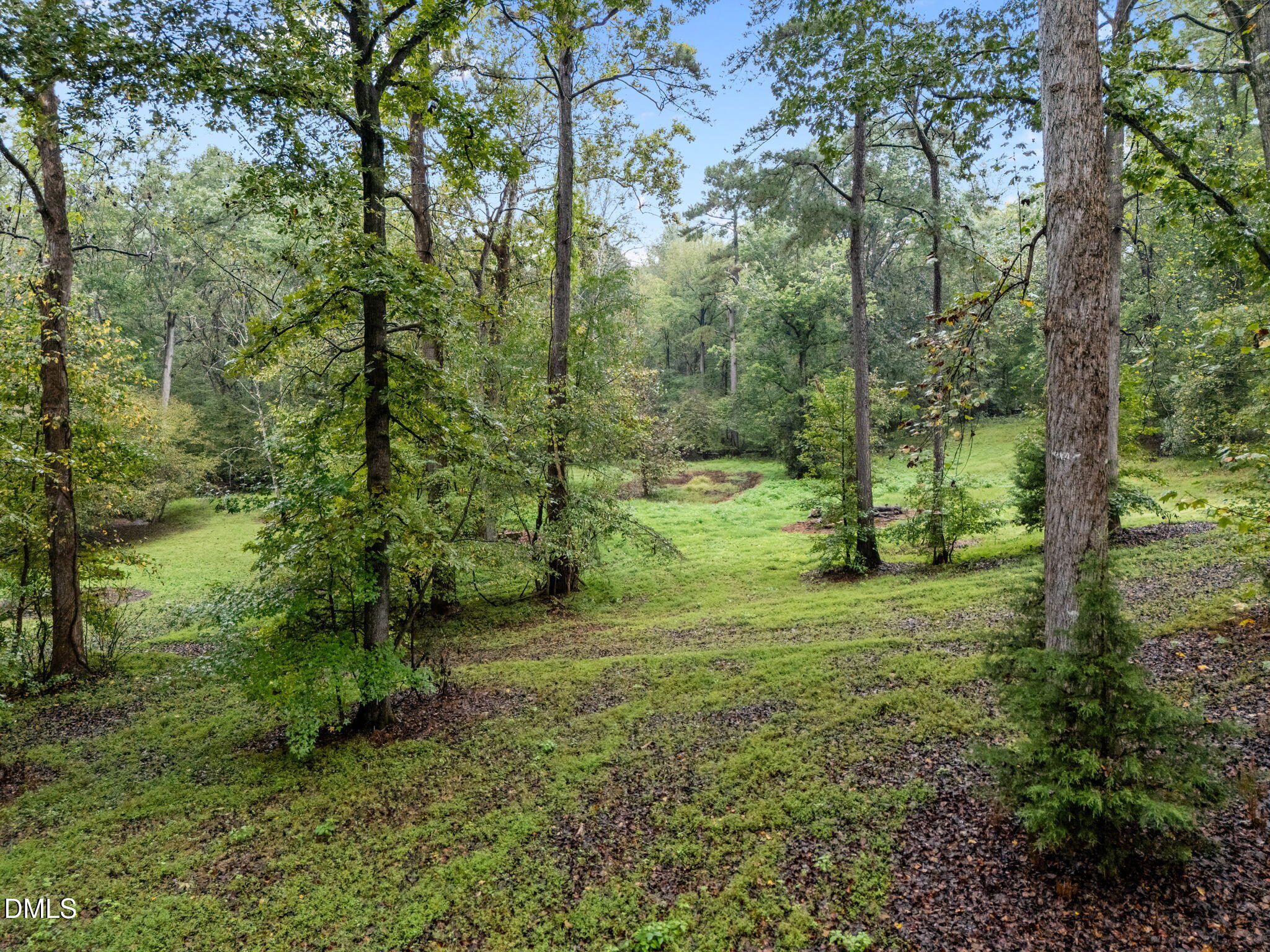 7105 Guess Road Hillsborough, NC 27278 - Photo 39 of 47 a big yard with lots of green space and trees