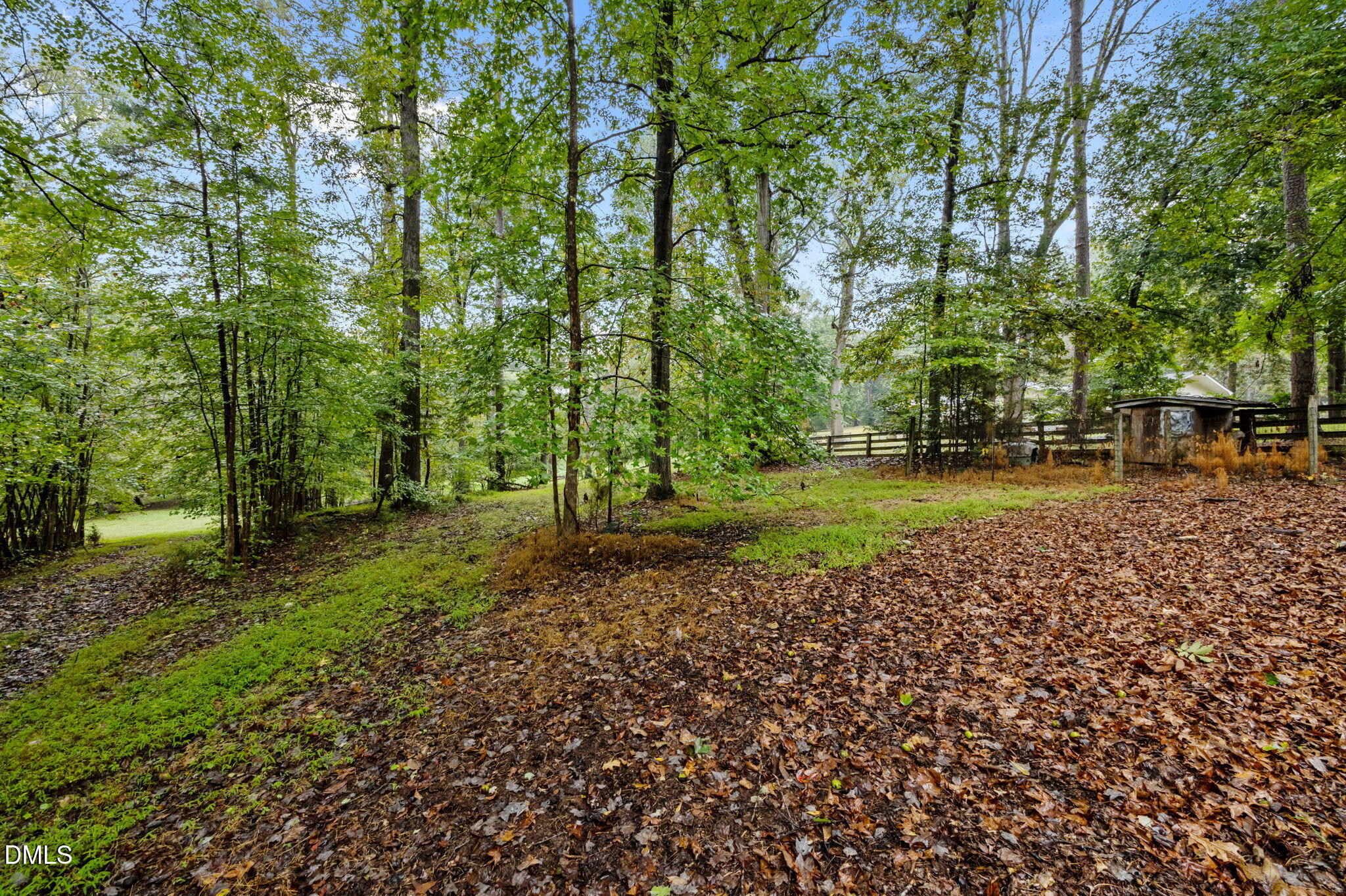 7105 Guess Road Hillsborough, NC 27278 - Photo 40 of 47 a view of a park with large trees