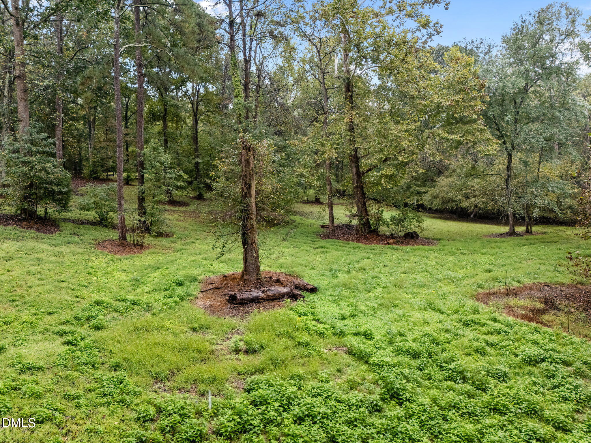 7105 Guess Road Hillsborough, NC 27278 - Photo 42 of 47 a view of a fire pit in middle of the green field