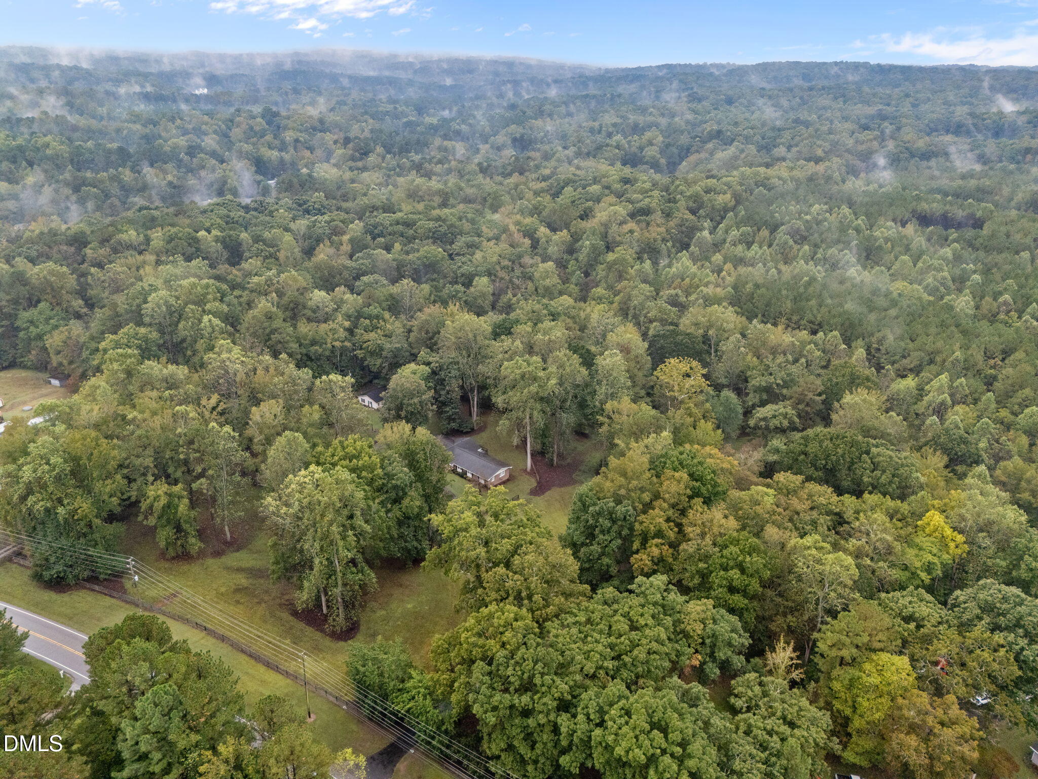 7105 Guess Road Hillsborough, NC 27278 - Photo 44 of 47 a view of a forest with a street
