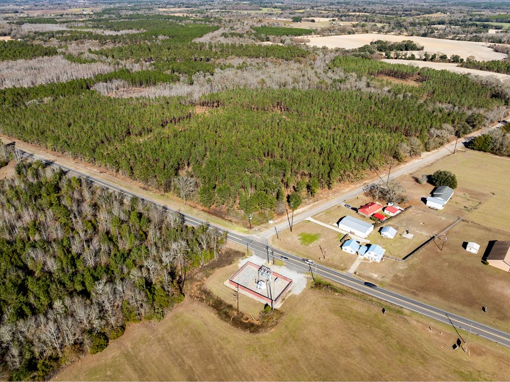 Lot 3-15 -ac Cottonwood Rd/ Phillips Road Cottonwood, AL 36320 - Photo 33 of 49