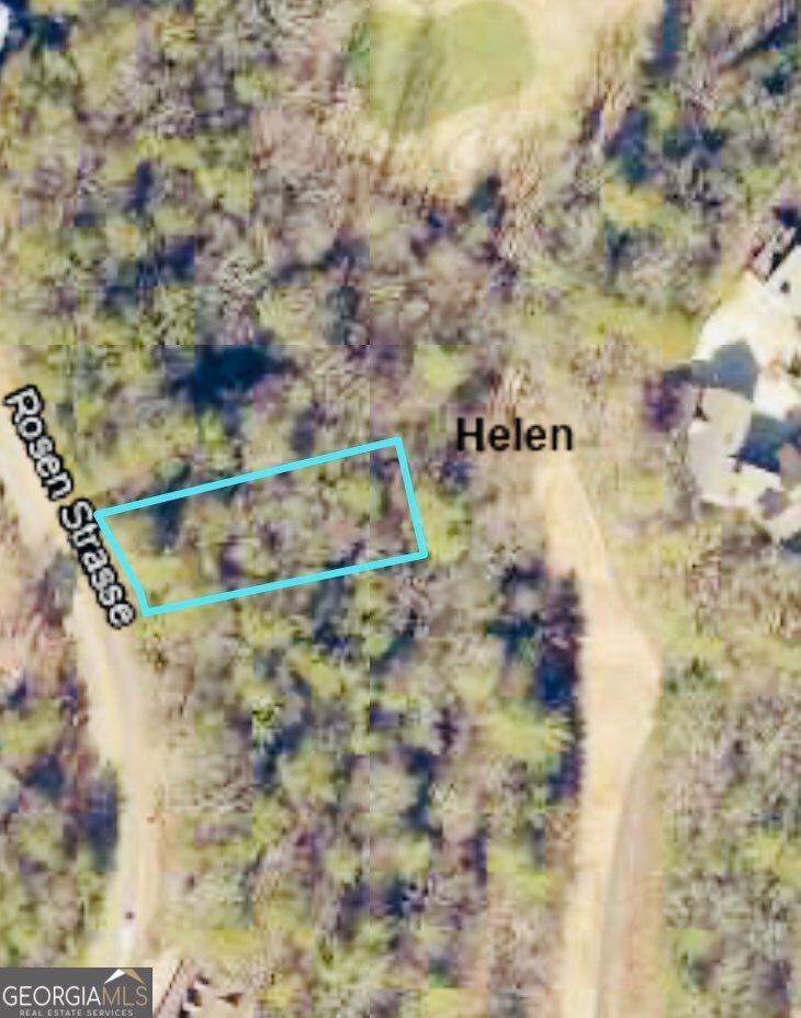 0 Rosen Strasse Helen, GA 30545 - Photo 4 of 11