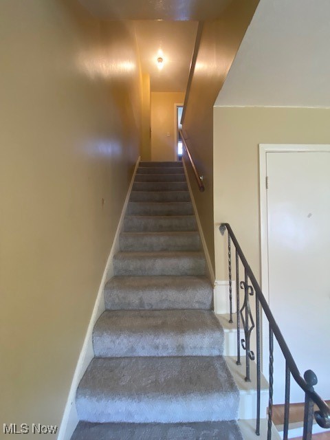 7032 Brandywine Road Parma Heights, OH 44130 - Photo 5 of 30 Hall Way / Newer Carpet