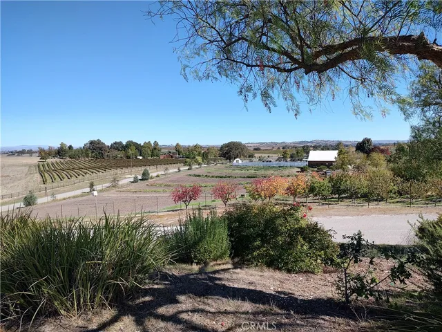 a view of a dry yard with wooden fence