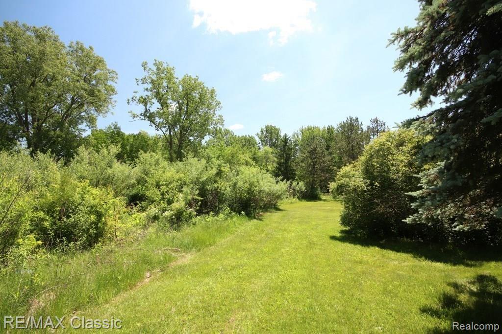 5701 Barr Road Canton, MI 48188 - Photo 6 of 47 Wooded Acreage