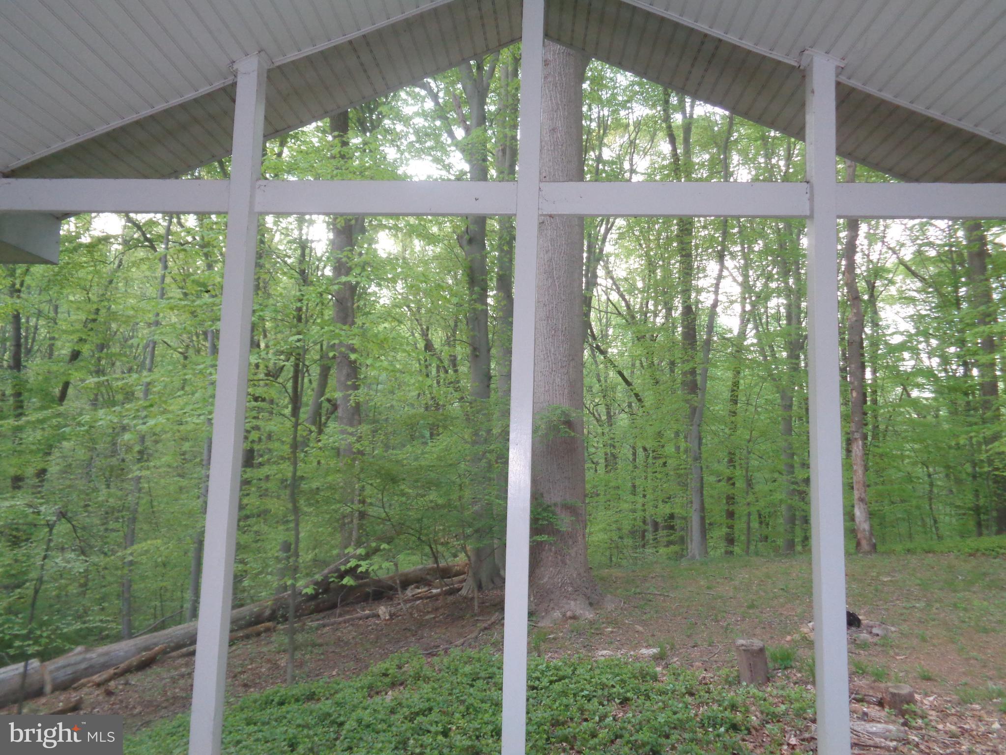 1616 Dogwood Hill Road Towson, MD 21286 - Photo 16 of 55 Views from Screened Porch - Surrounded by Trees