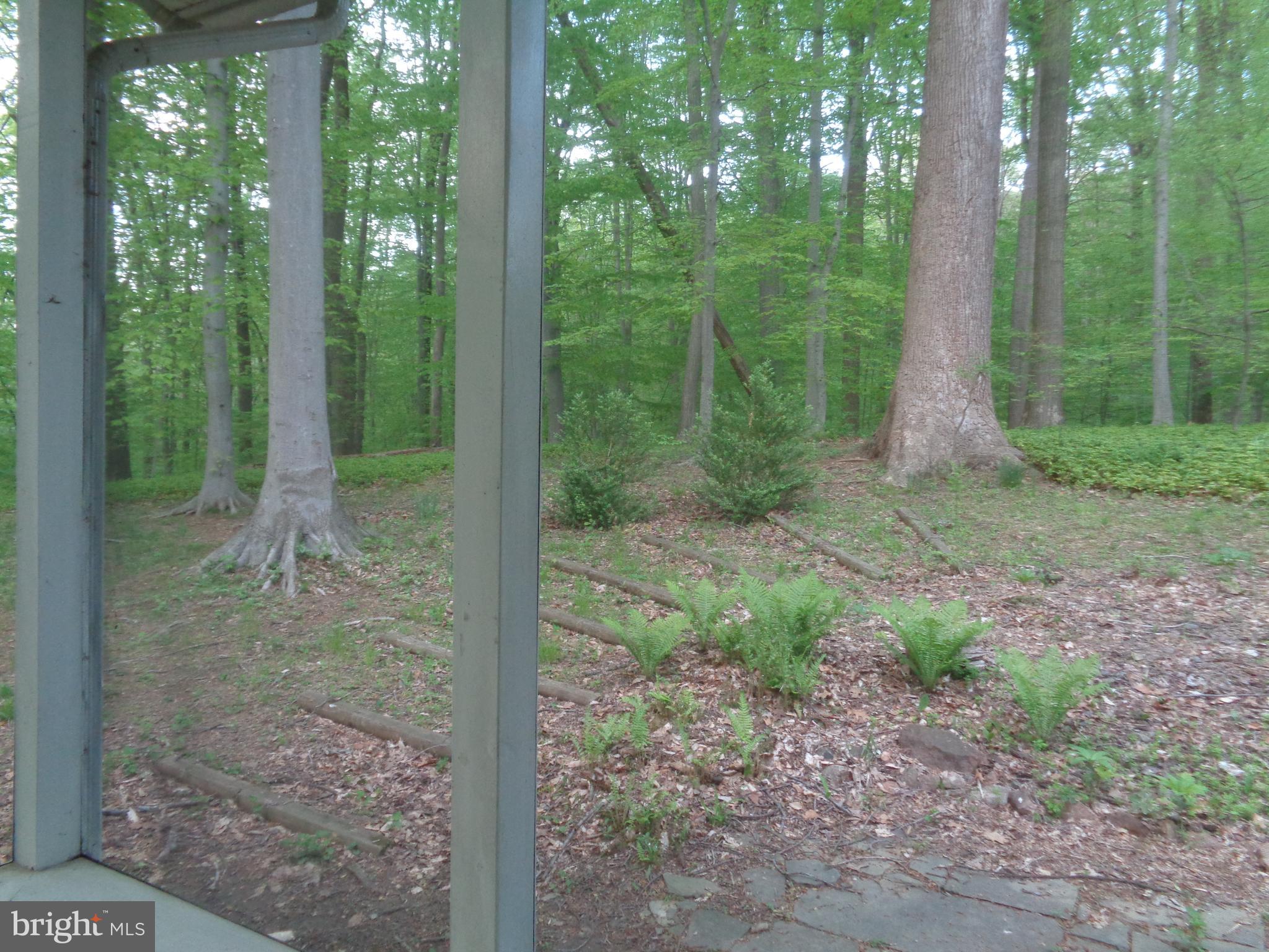 1616 Dogwood Hill Road Towson, MD 21286 - Photo 17 of 55 In the woods! Views from Screened Porch