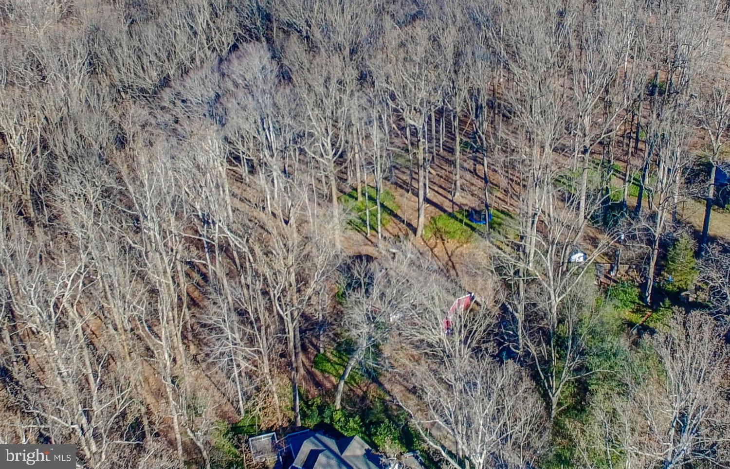1616 Dogwood Hill Road Towson, MD 21286 - Photo 3 of 55 Heavily Wooded, Private Area
