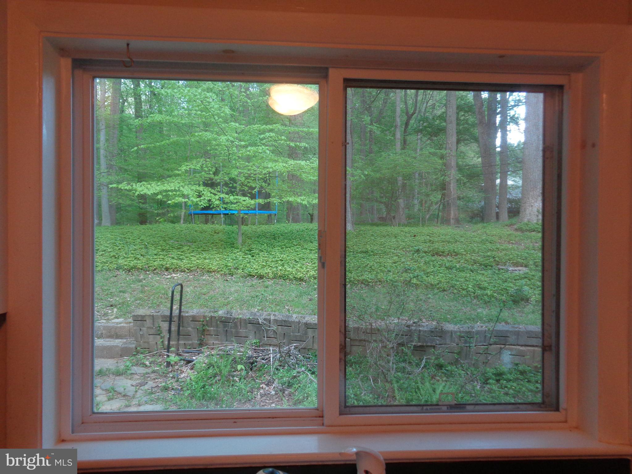 1616 Dogwood Hill Road Towson, MD 21286 - Photo 36 of 55 Wooded Views from interior