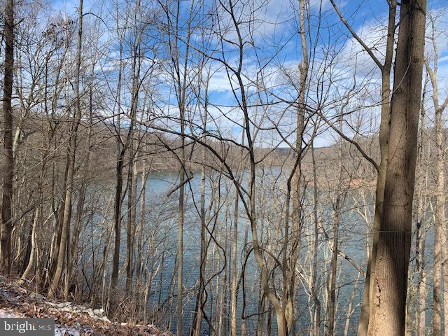1616 Dogwood Hill Road Towson, MD 21286 - Photo 49 of 55 Loch Raven Watershed, just around the corner...