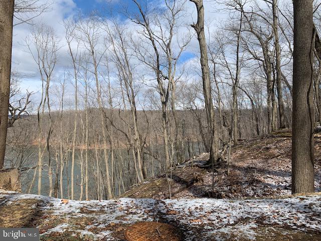 1616 Dogwood Hill Road Towson, MD 21286 - Photo 53 of 55 Loch Raven Watershed