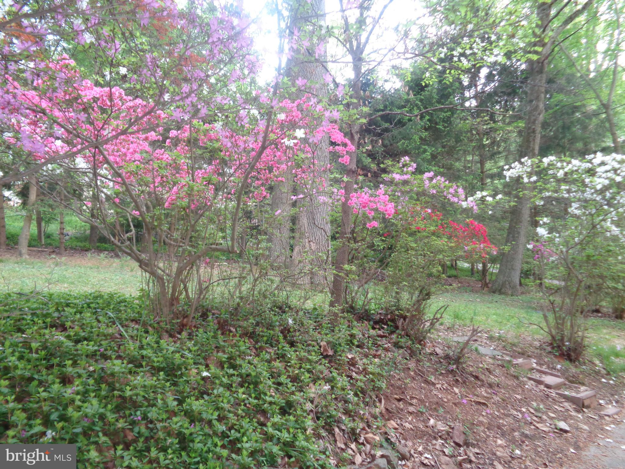 1616 Dogwood Hill Road Towson, MD 21286 - Photo 7 of 55 Surrounded by trees and natural beauty
