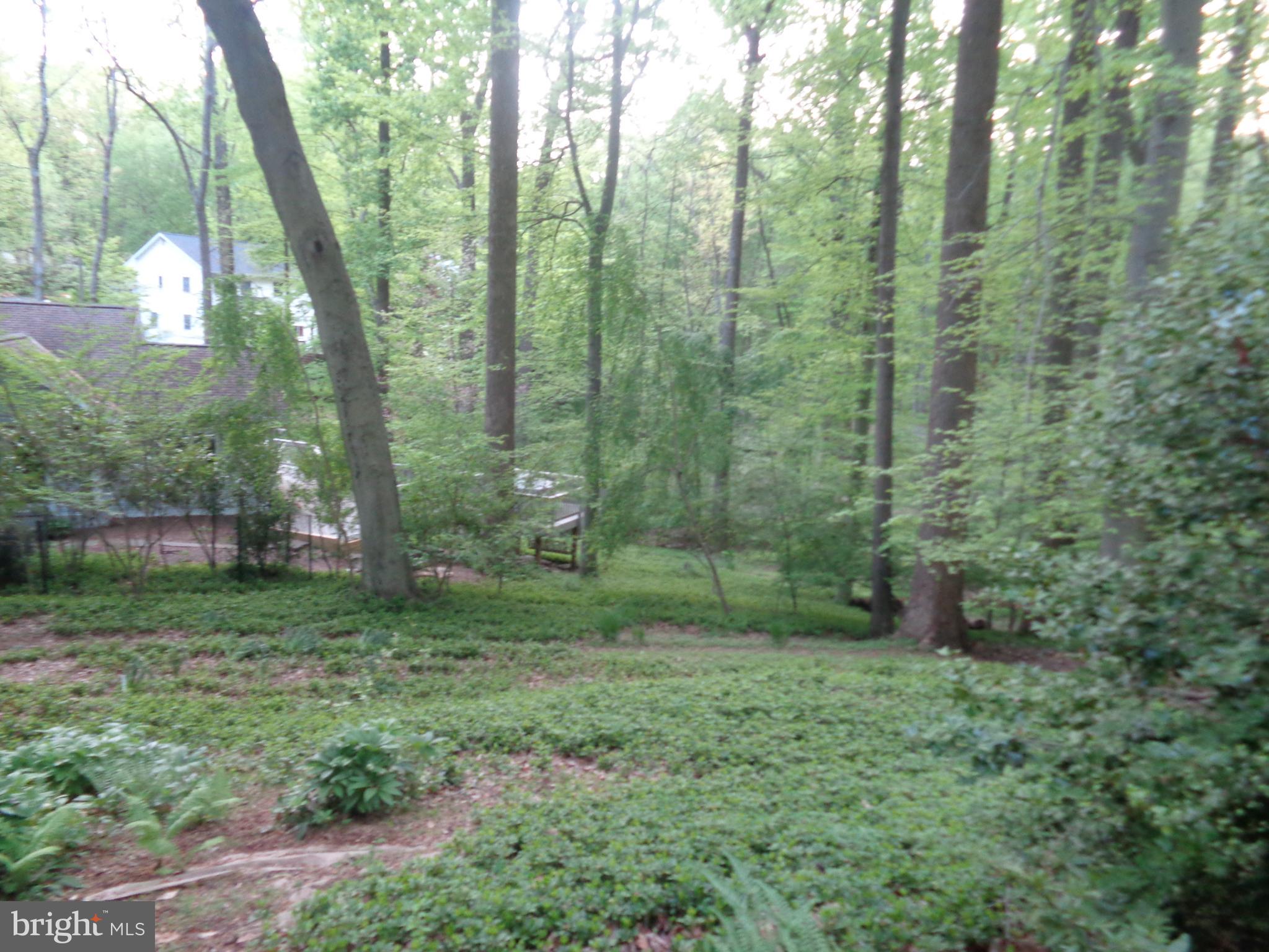 1616 Dogwood Hill Road Towson, MD 21286 - Photo 8 of 55 Heavily wooded lot