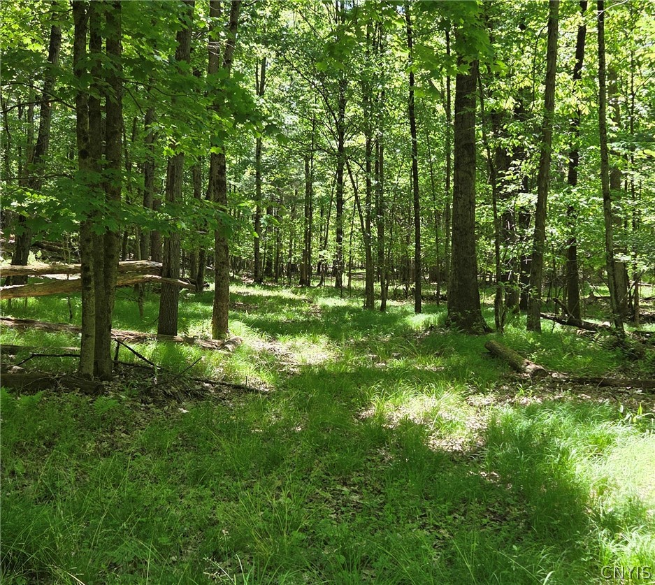 Lillibridge Road Olean, NY 14760 - Photo 4 of 48