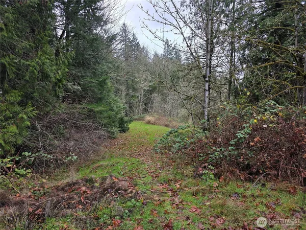 a big yard with lots of green space and deers
