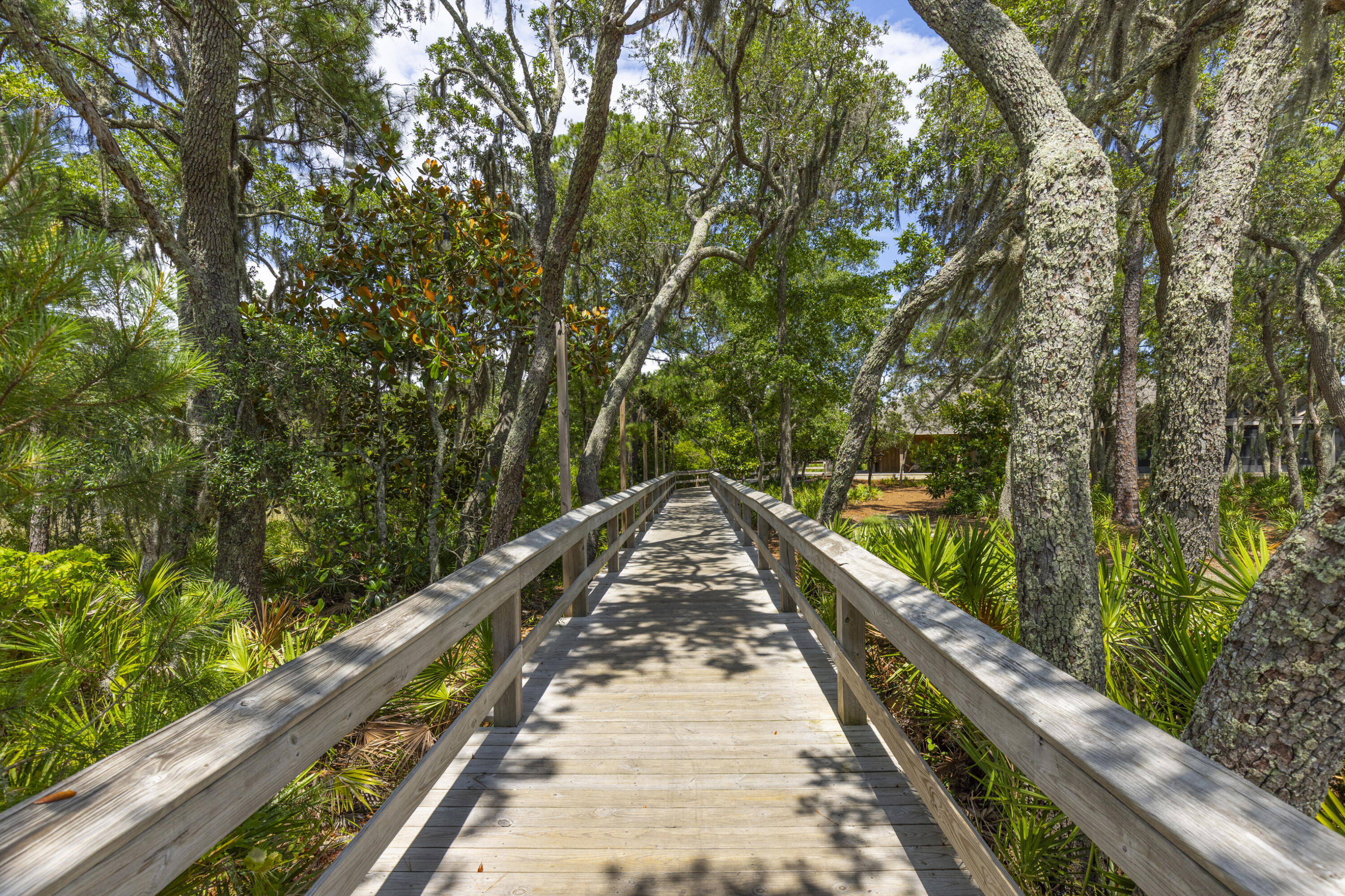 236 Revana Way Freeport, FL 32439 - Photo 80 of 96 Natural Beauty