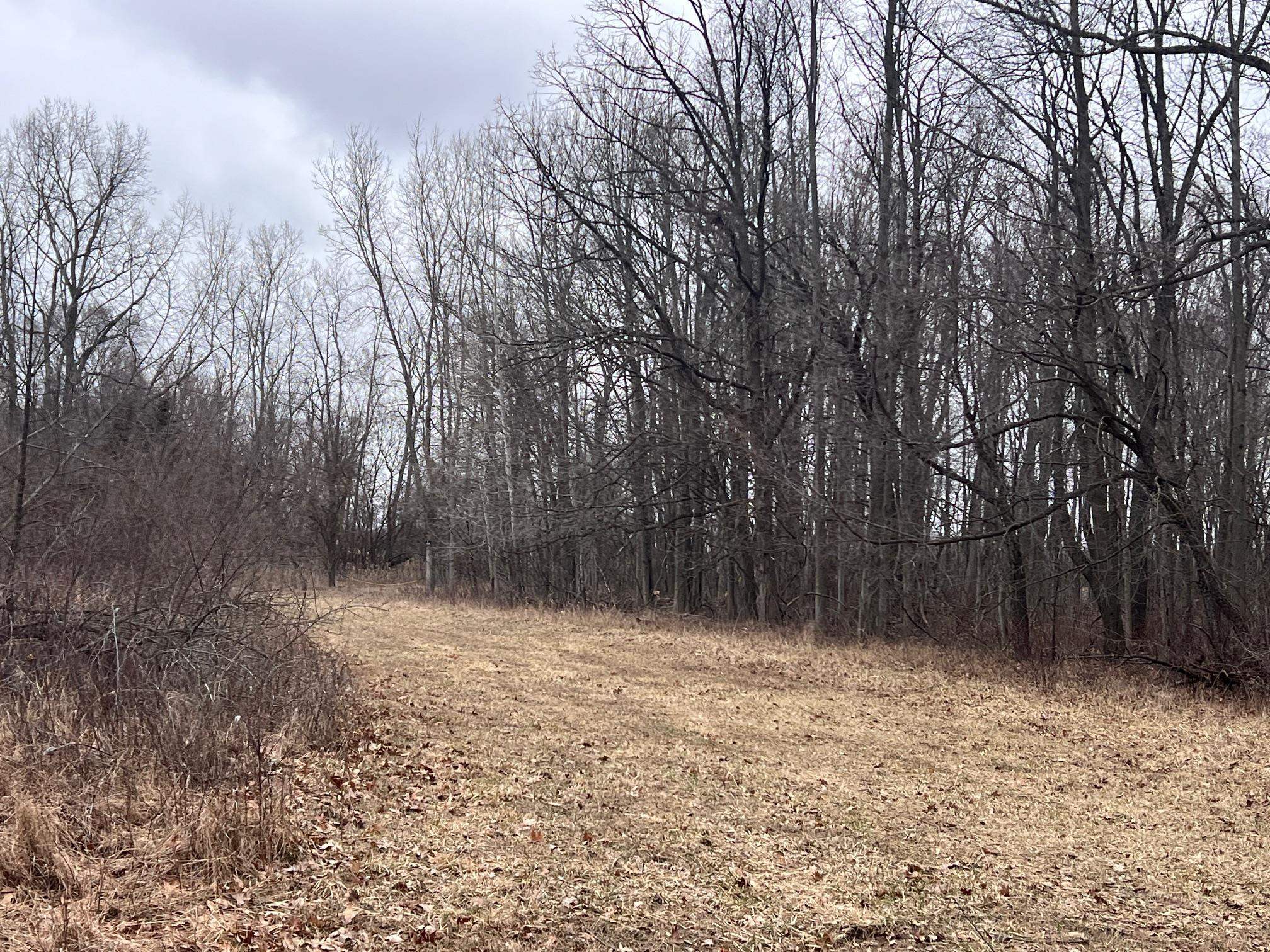 Vl Washington Street Perry, MI 48872 - Photo 20 of 26