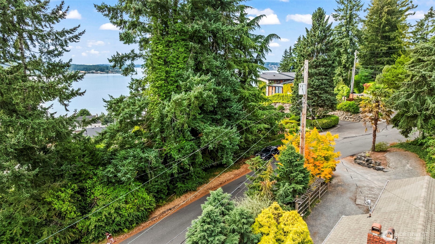 4403 Paradise Avenue West University Place, WA 98466 - Photo 9 of 35 a view of a yard with plants