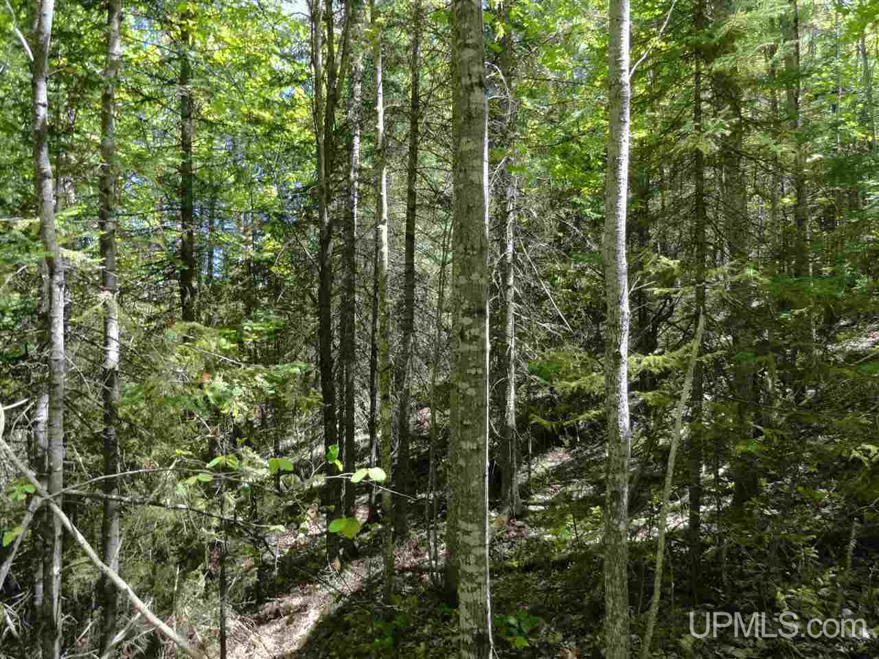 40 Two 2 Mile Creek Road Channing, MI 49815 - Photo 10 of 15