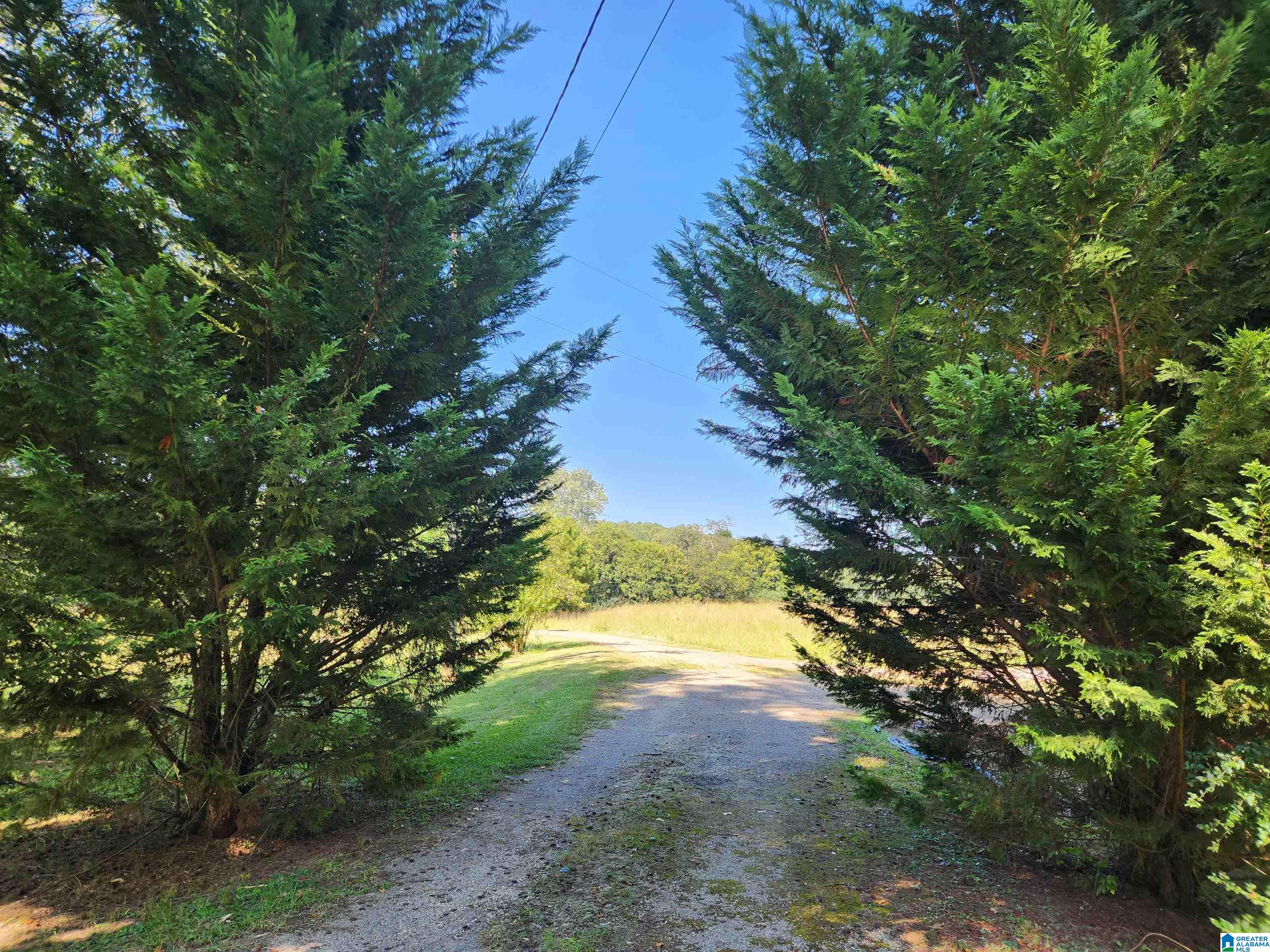 14843 Gallant Road Gallant, AL 35972 - Photo 83 of 100