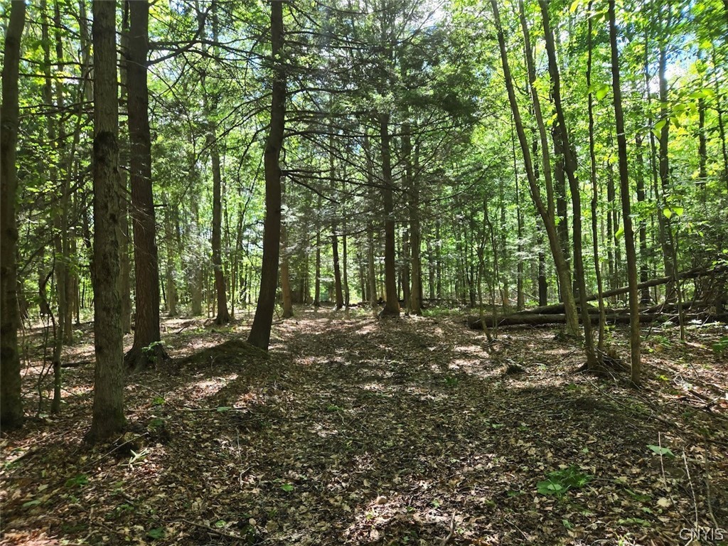 7988 Dowd Road Pike, NY 14735 - Photo 28 of 37