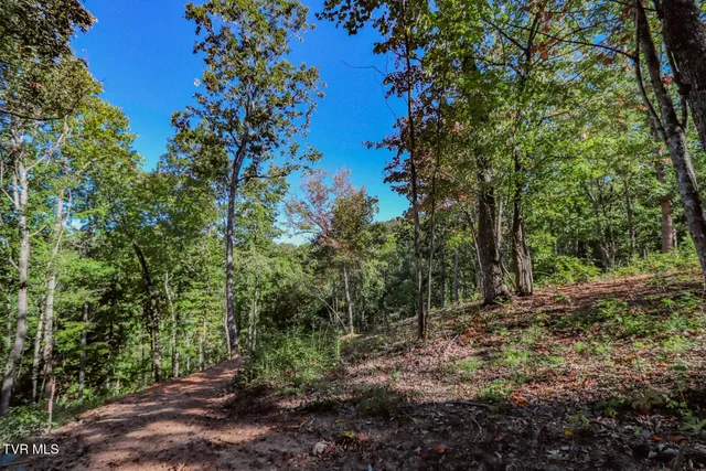 $36,500 | 113 Huffman Way, Unit 39, Newport, TN 37821