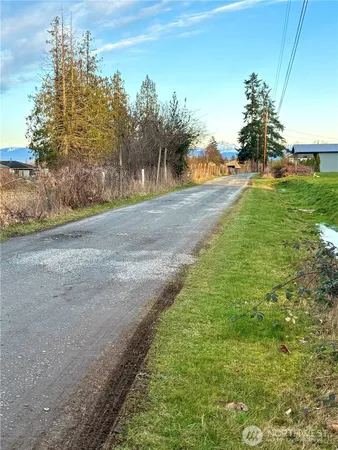 a view of a yard with large trees
