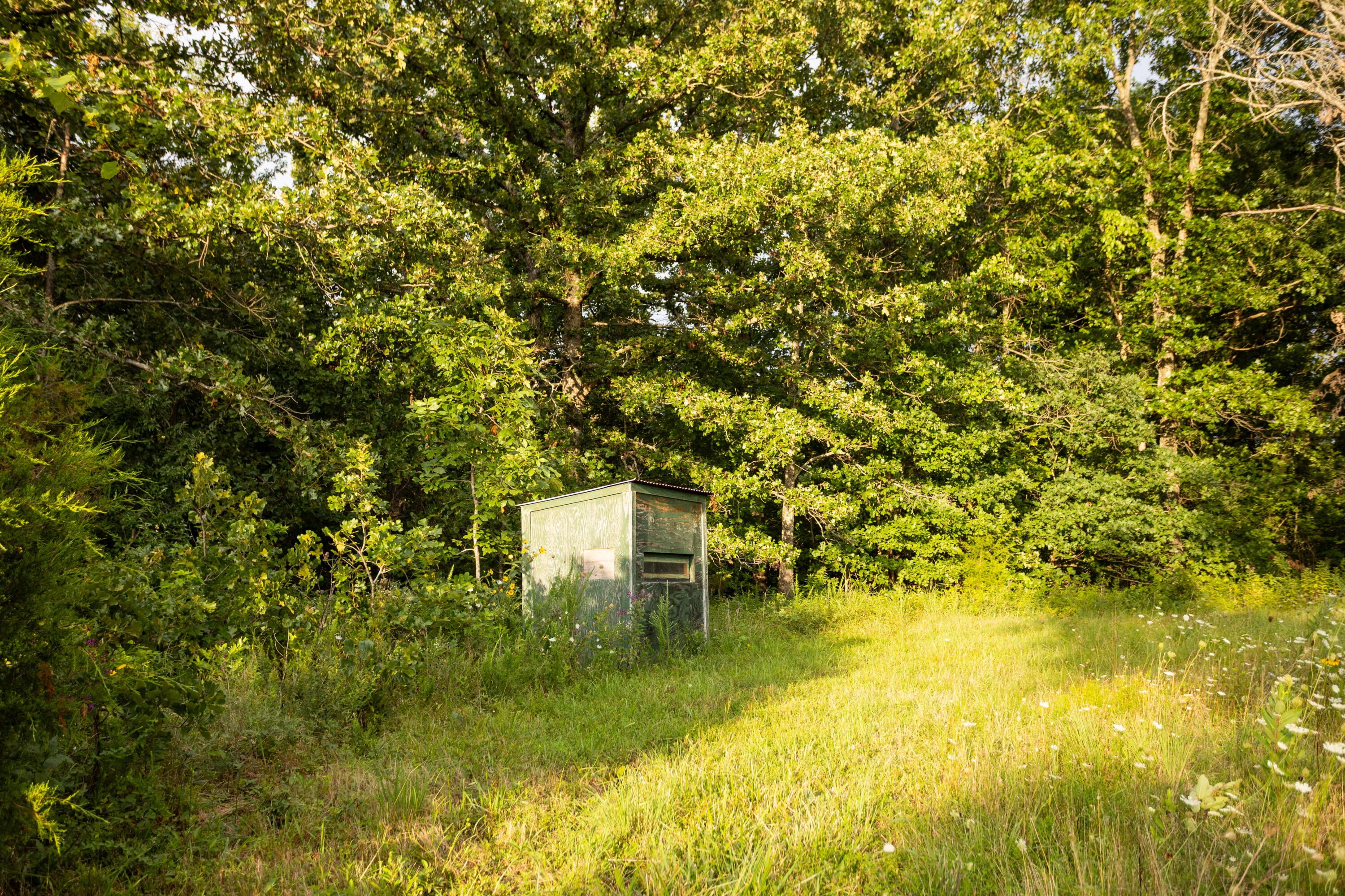 11995 Harvest Road Lebanon, MO 65536 - Photo 43 of 84 29