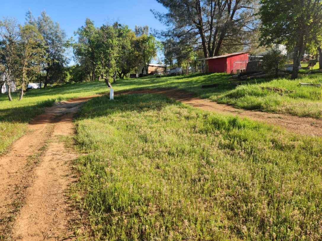 3134 Canoe Street Copperopolis, CA 95228 - Photo 1 of 4 a view of a yard with large trees