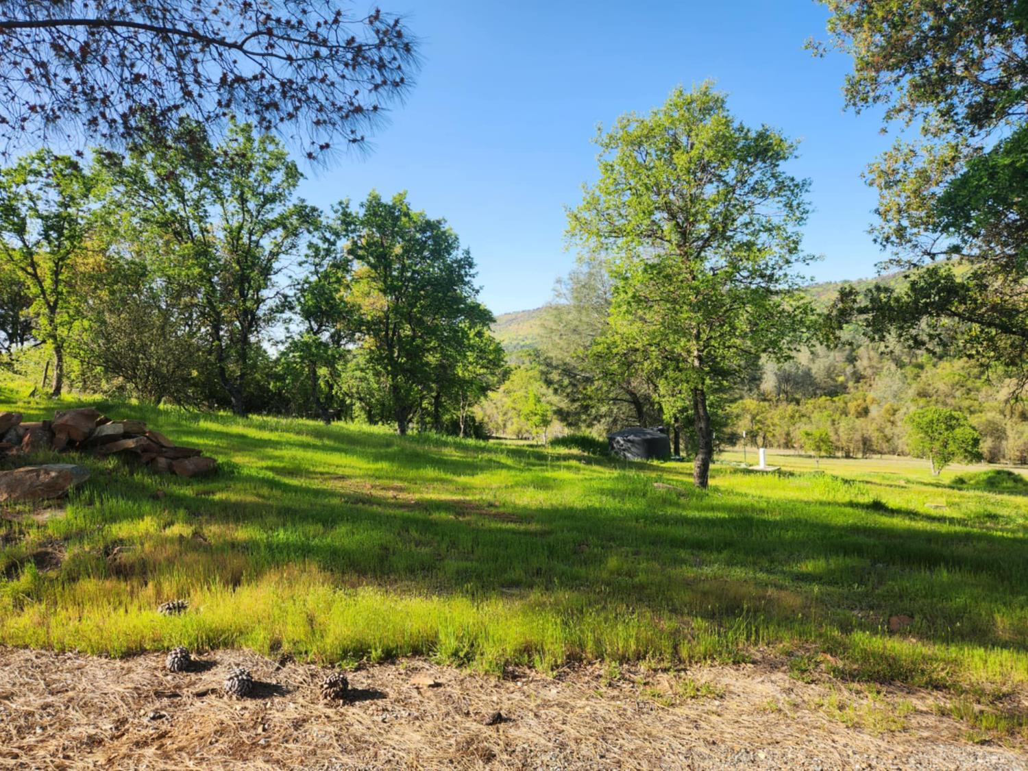 3134 Canoe Street Copperopolis, CA 95228 - Photo 3 of 4 a view of a lake with a big yard