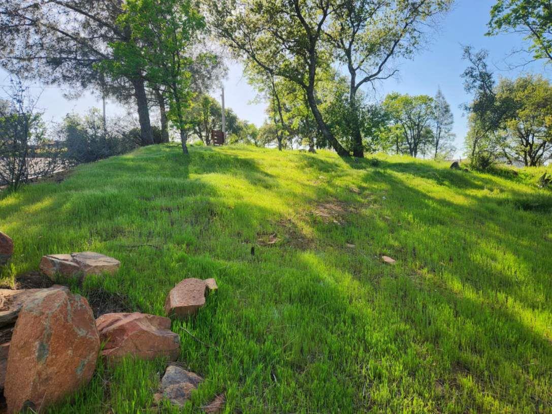 3134 Canoe Street Copperopolis, CA 95228 - Photo 4 of 4 a view of a golf course with a garden