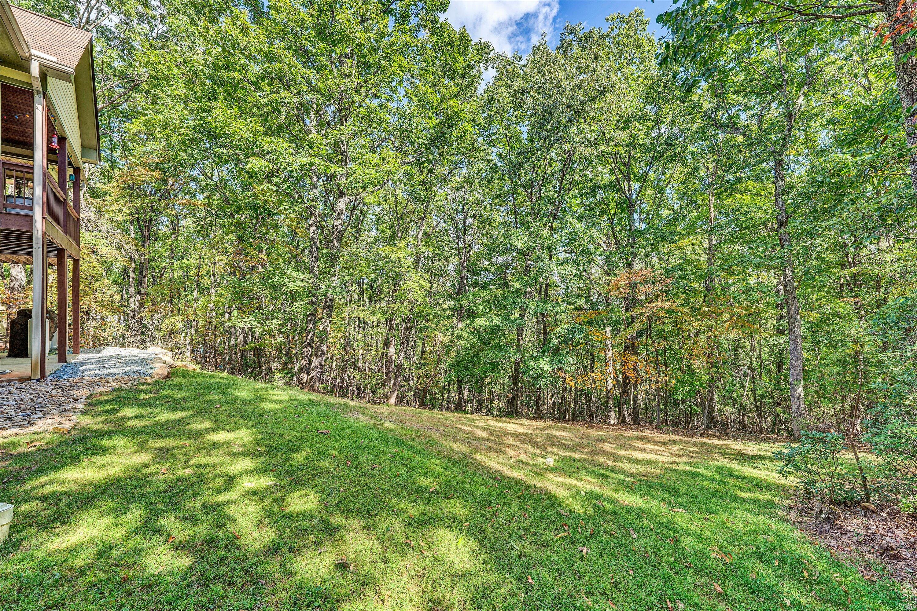 30 Boulder Point Drive Hardy, VA 24101 - Photo 62 of 68 a view of a yard with a trees