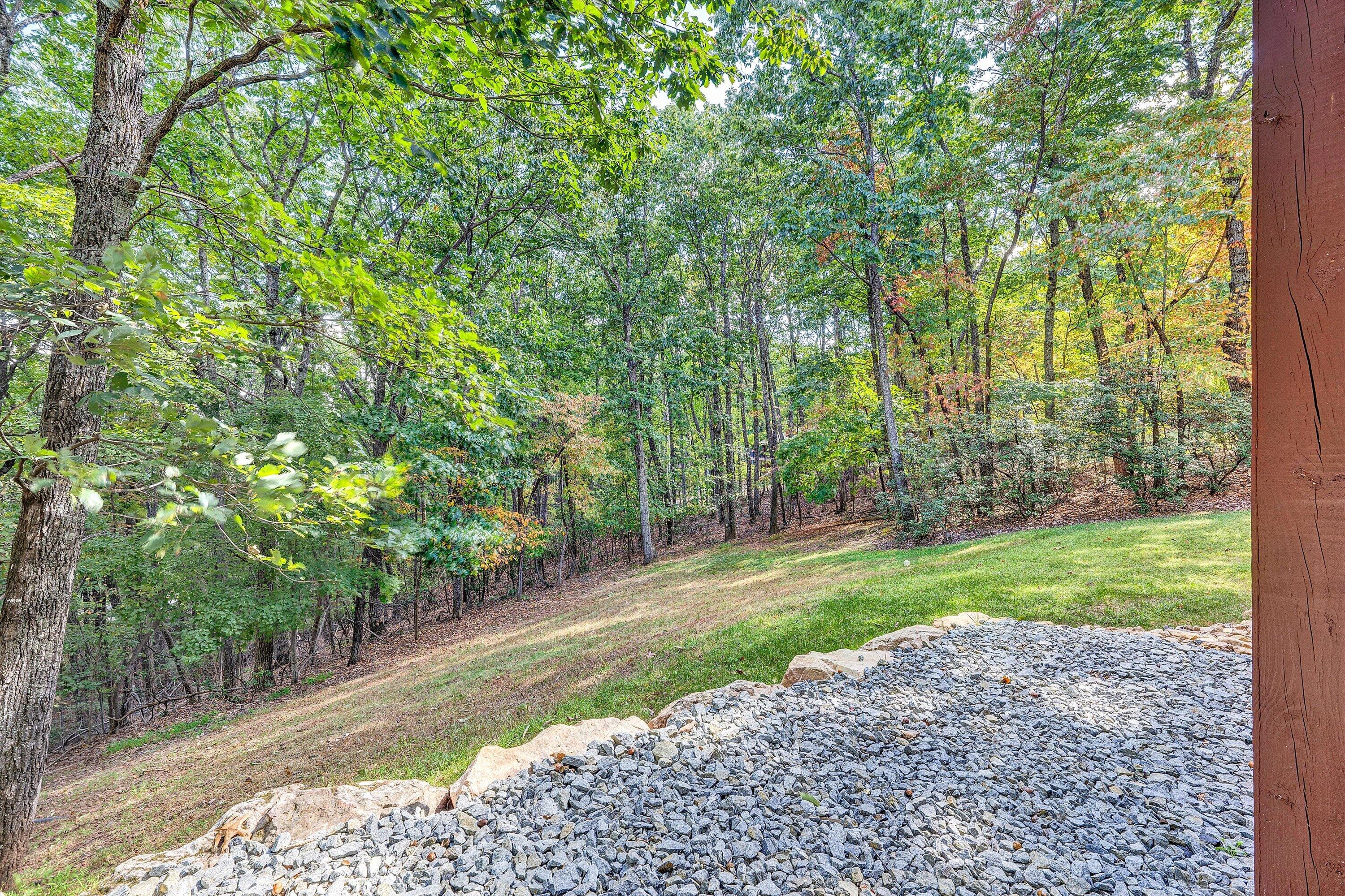 30 Boulder Point Drive Hardy, VA 24101 - Photo 74 of 77 77-SGP-00555