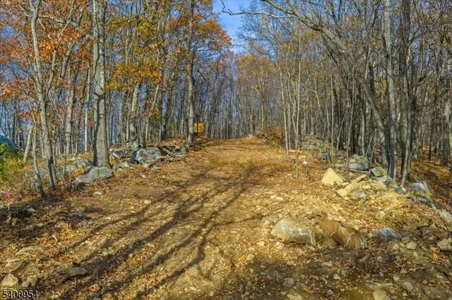 a view of yard with trees