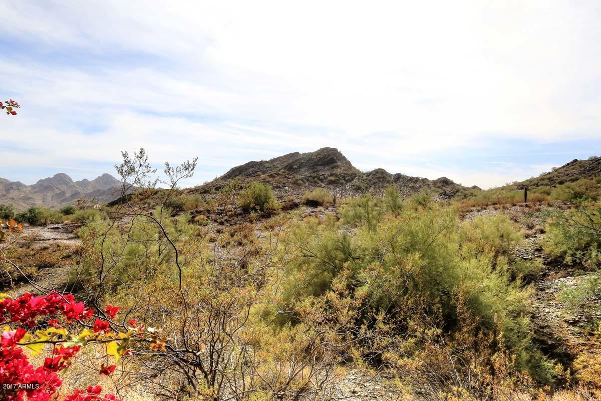 2225 East Mountain View Road Phoenix, AZ 85028 - Photo 36 of 37 Phx Mtn Preserve View (3)
