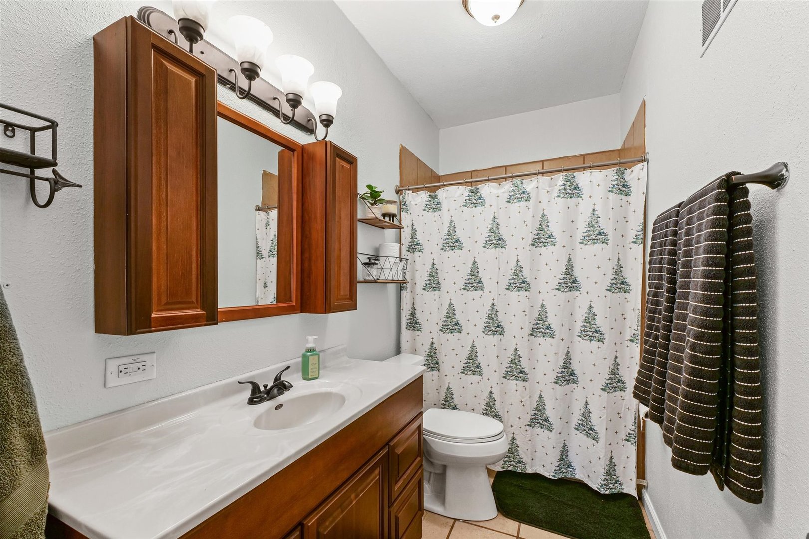 113 Witt Park Road Sidney, IL 61877 - Photo 20 of 29 a bathroom with a sink toilet and shower