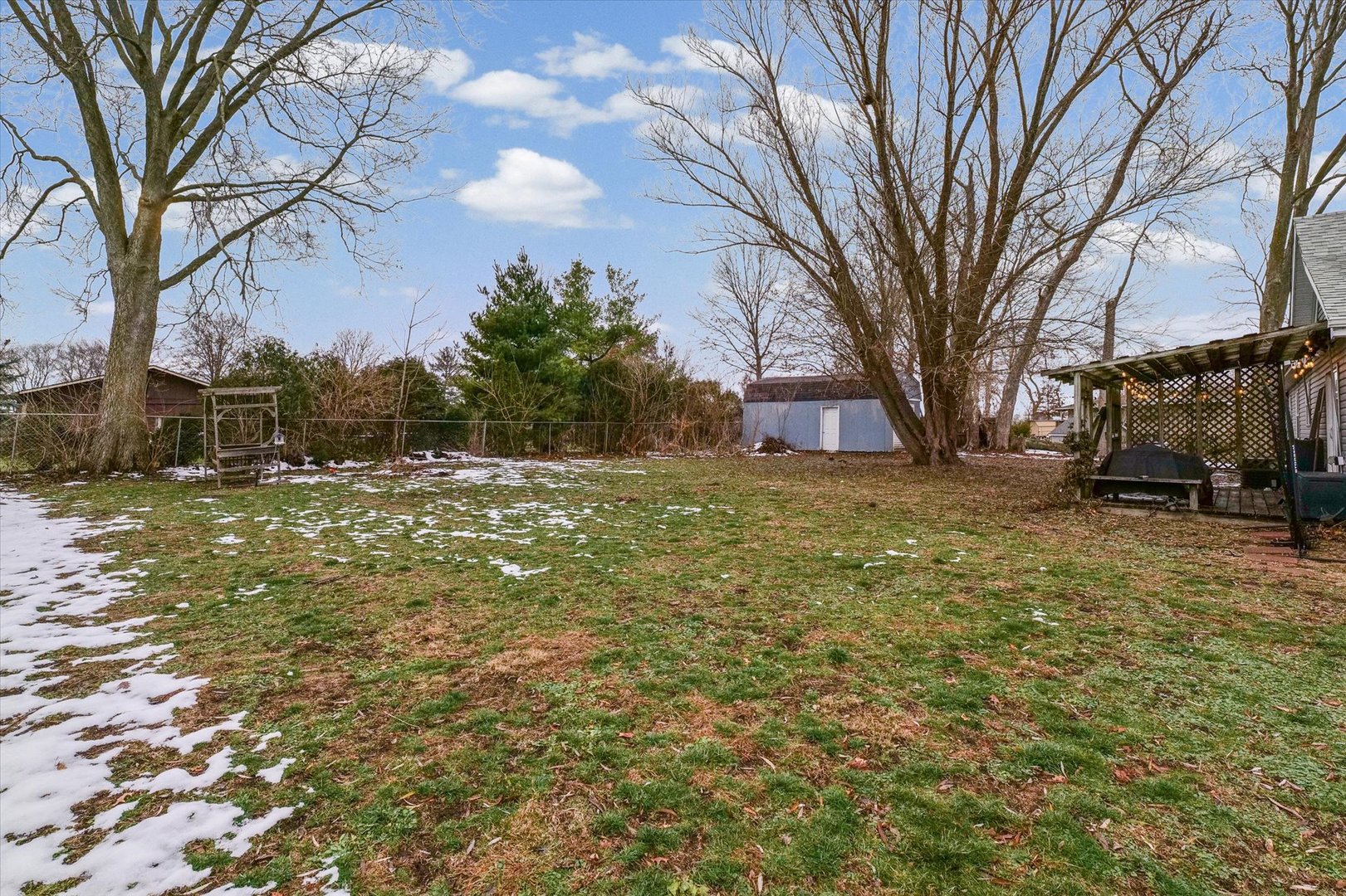 113 Witt Park Road Sidney, IL 61877 - Photo 25 of 29 a view of a yard with some trees