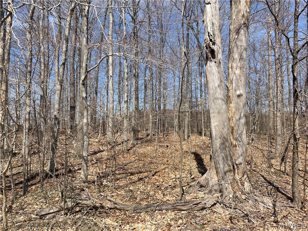 Vl Heath Road Colden, NY 14033 - Photo 1 of 1 Gallery Image 1