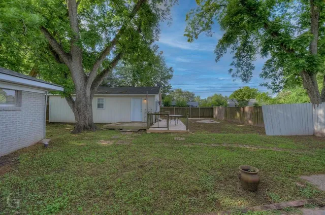 a view of a backyard with plants and a large tree