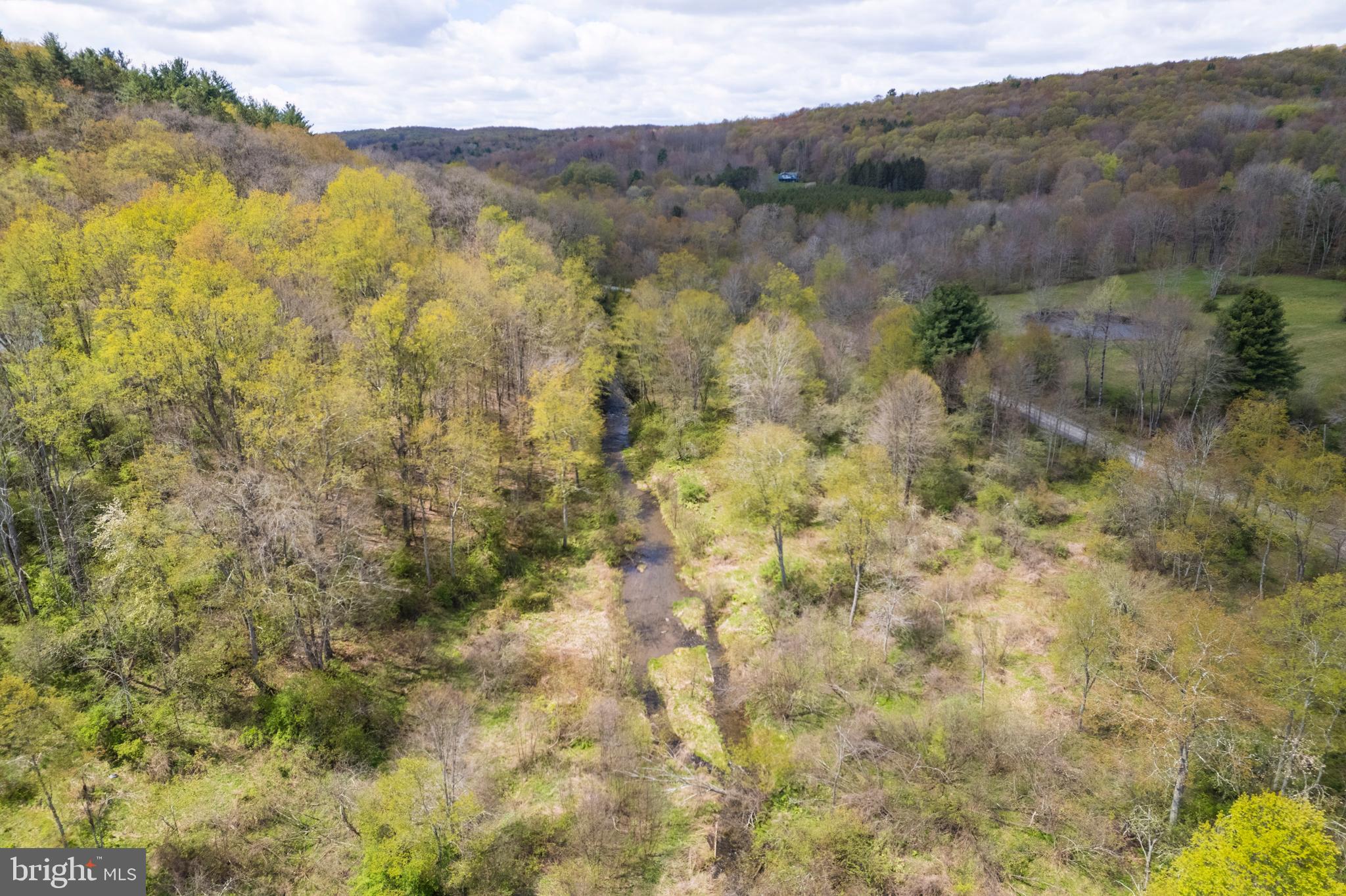 0 Holbrook Road Montrose, PA 18801 - Photo 49 of 147