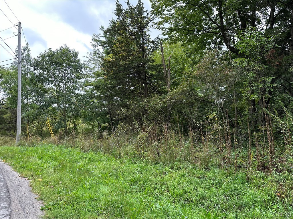 22 County Route Philadelphia, NY 13673 - Photo 12 of 15