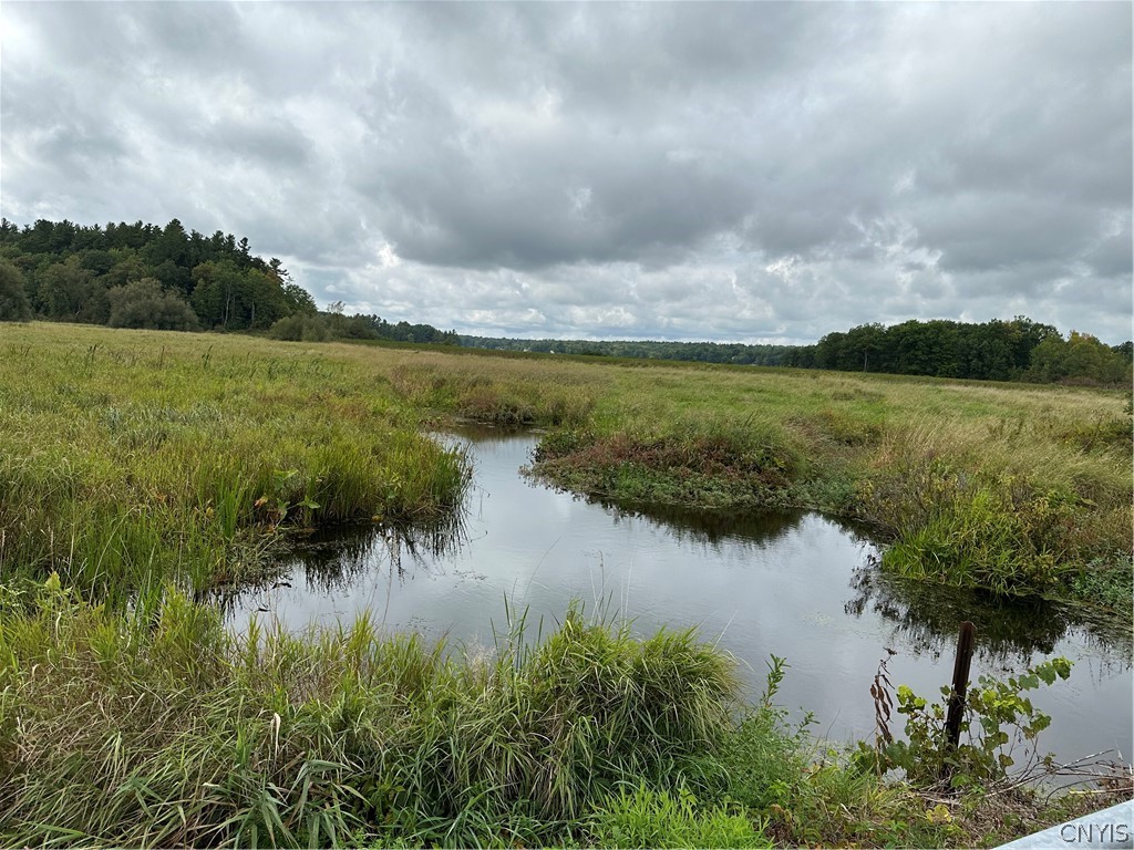 22 County Route Philadelphia, NY 13673 - Photo 3 of 15